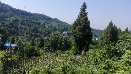 IMG_20170724_100553.jpg