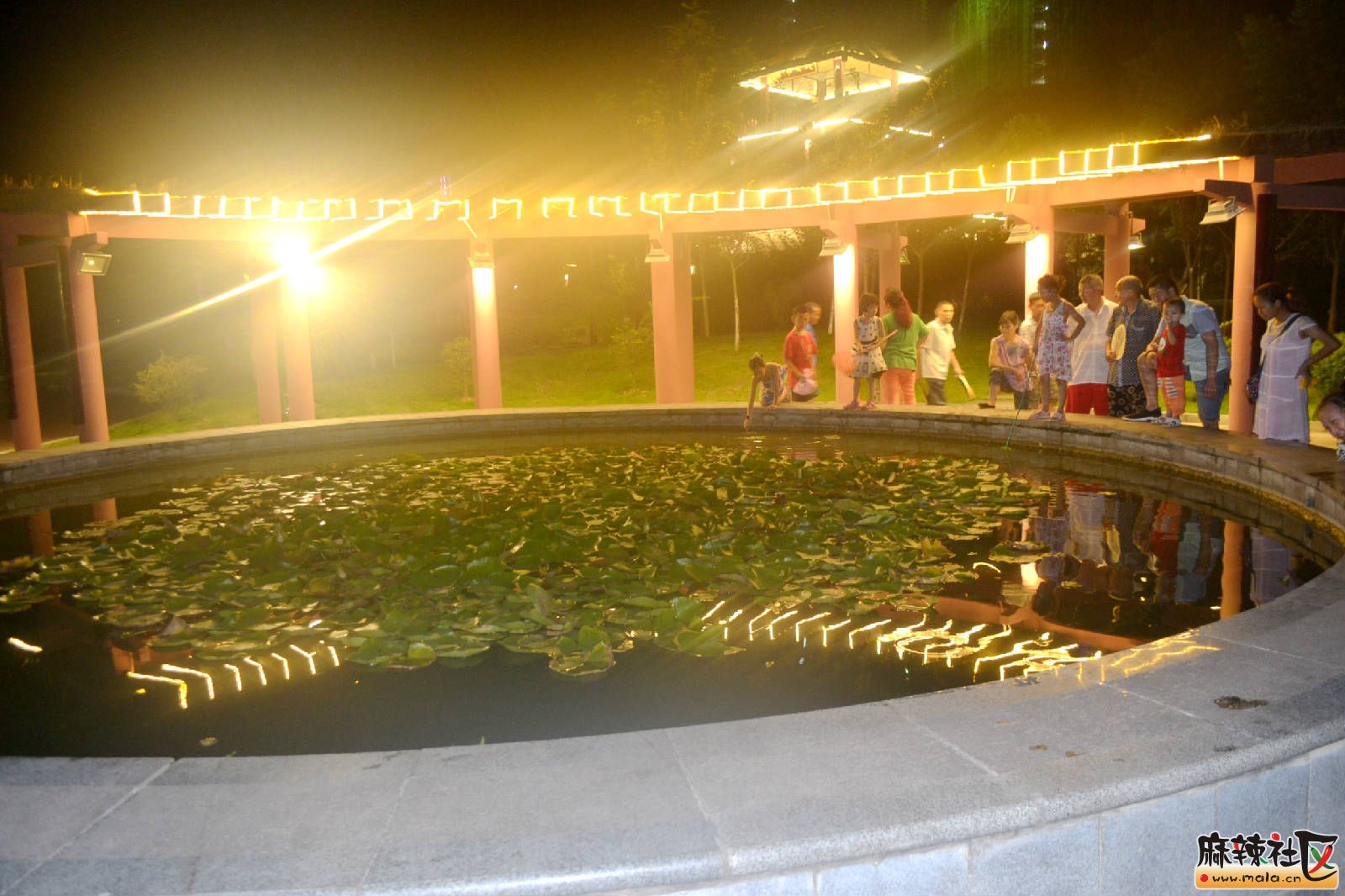 DSC_3490.JPG