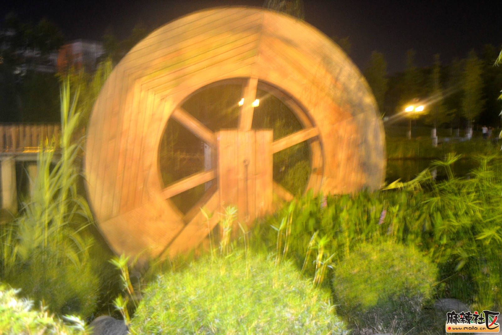 DSC_3496.JPG