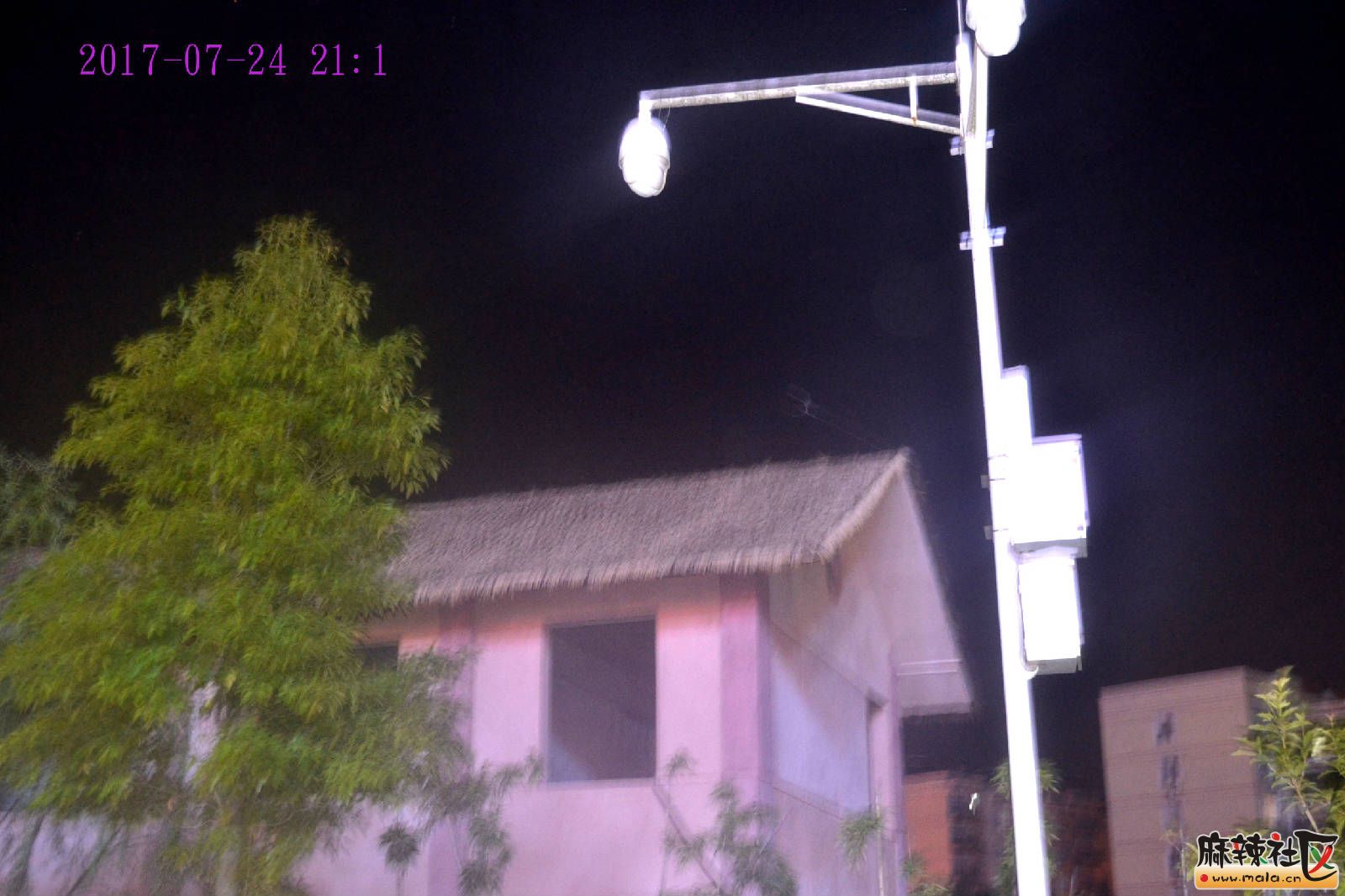 DSC_3499.JPG