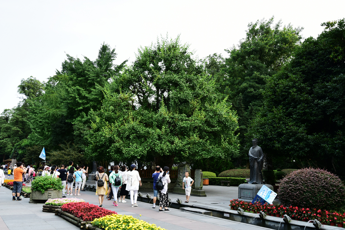 DSC_5820_.jpg