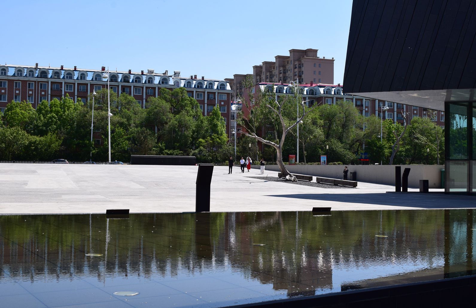 DSC_1191.JPG