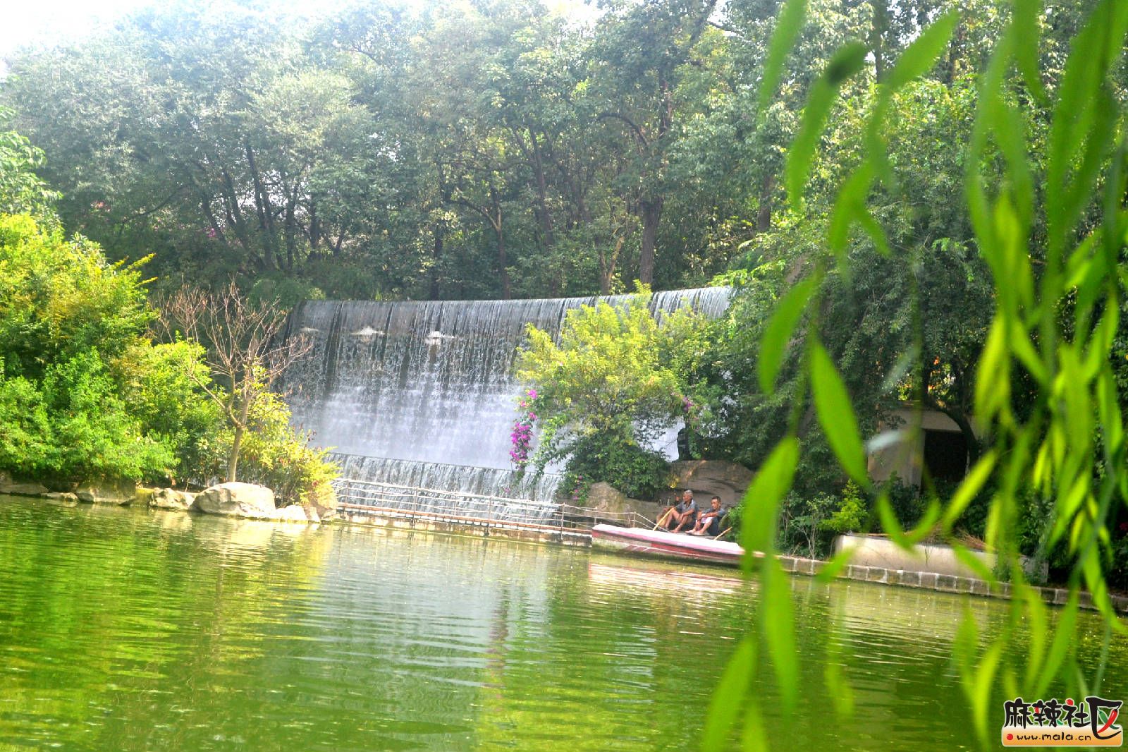 DSC_3558.JPG