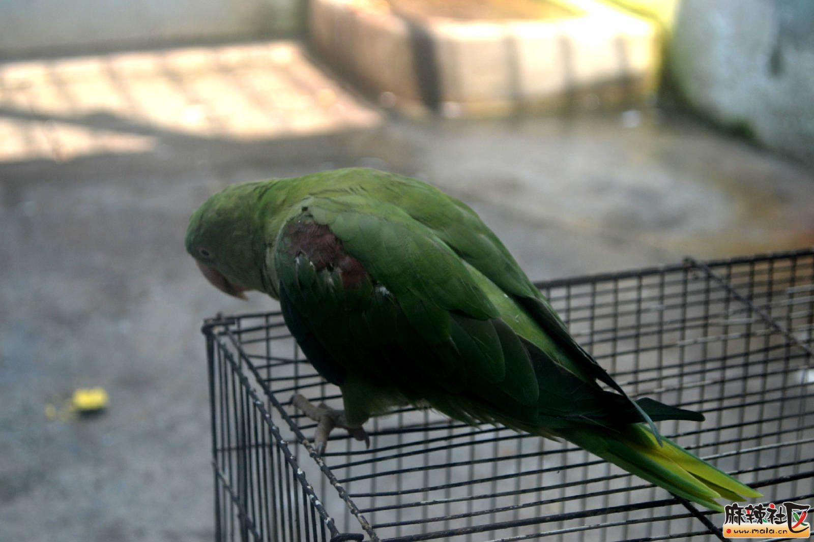 DSC_3639.JPG