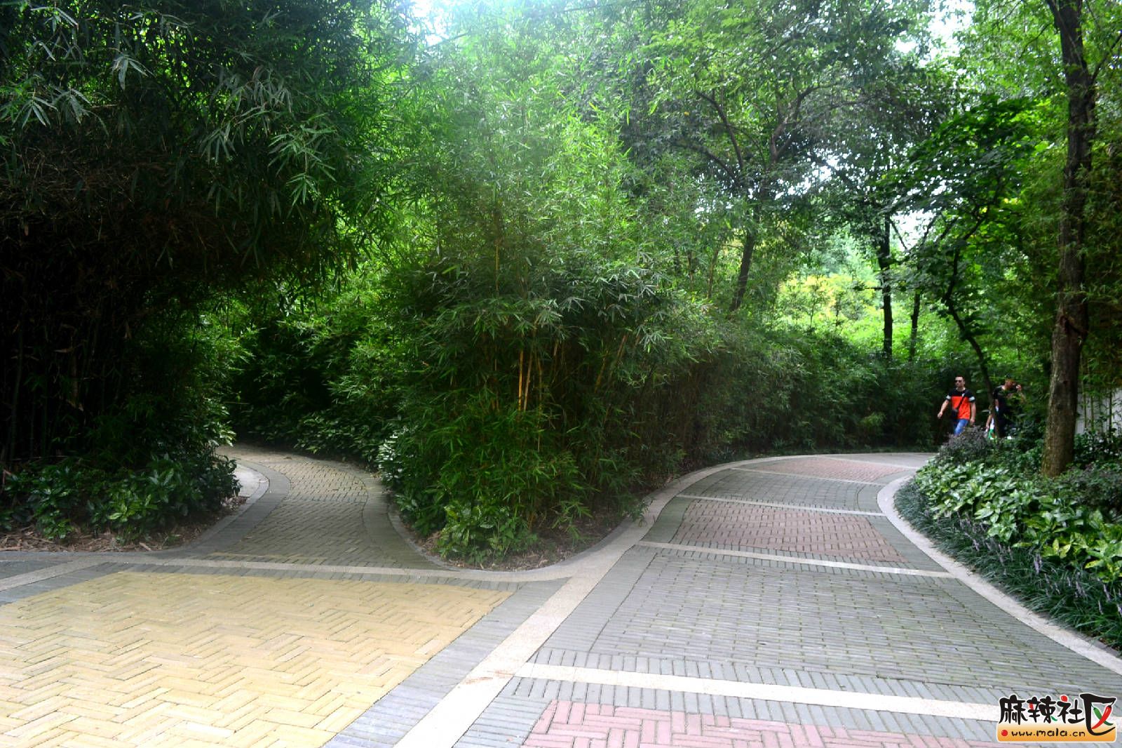 DSC_3650.JPG