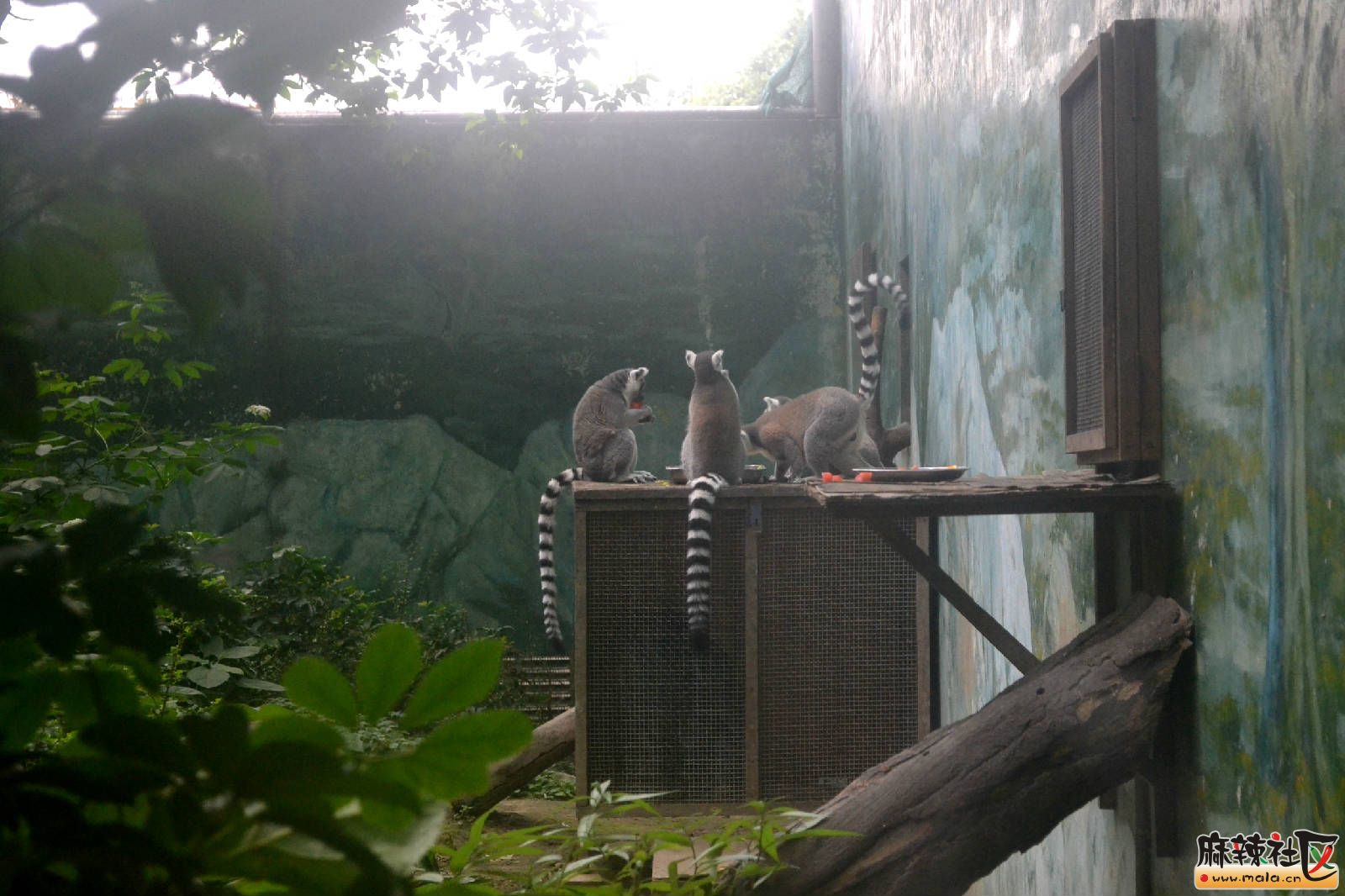 DSC_3655.JPG