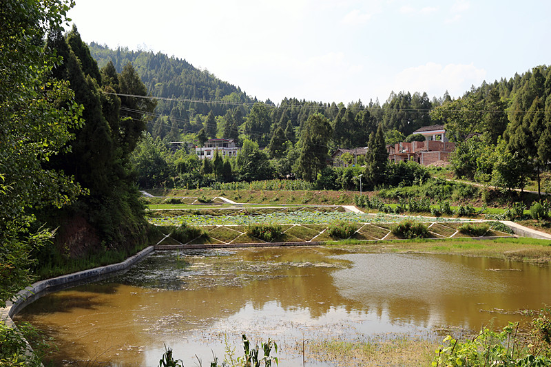 南部县永红乡千佛村党支部是新农村发家致富的领头羊