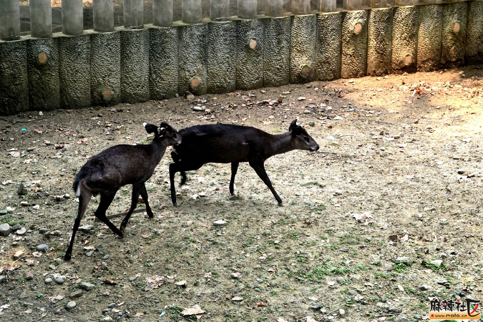 DSC_3718.JPG
