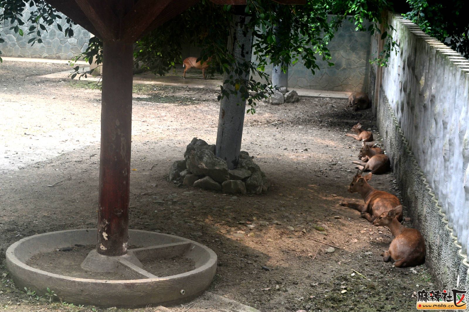DSC_3720.JPG