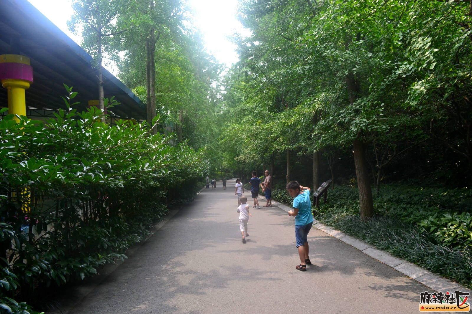 DSC_3735.JPG