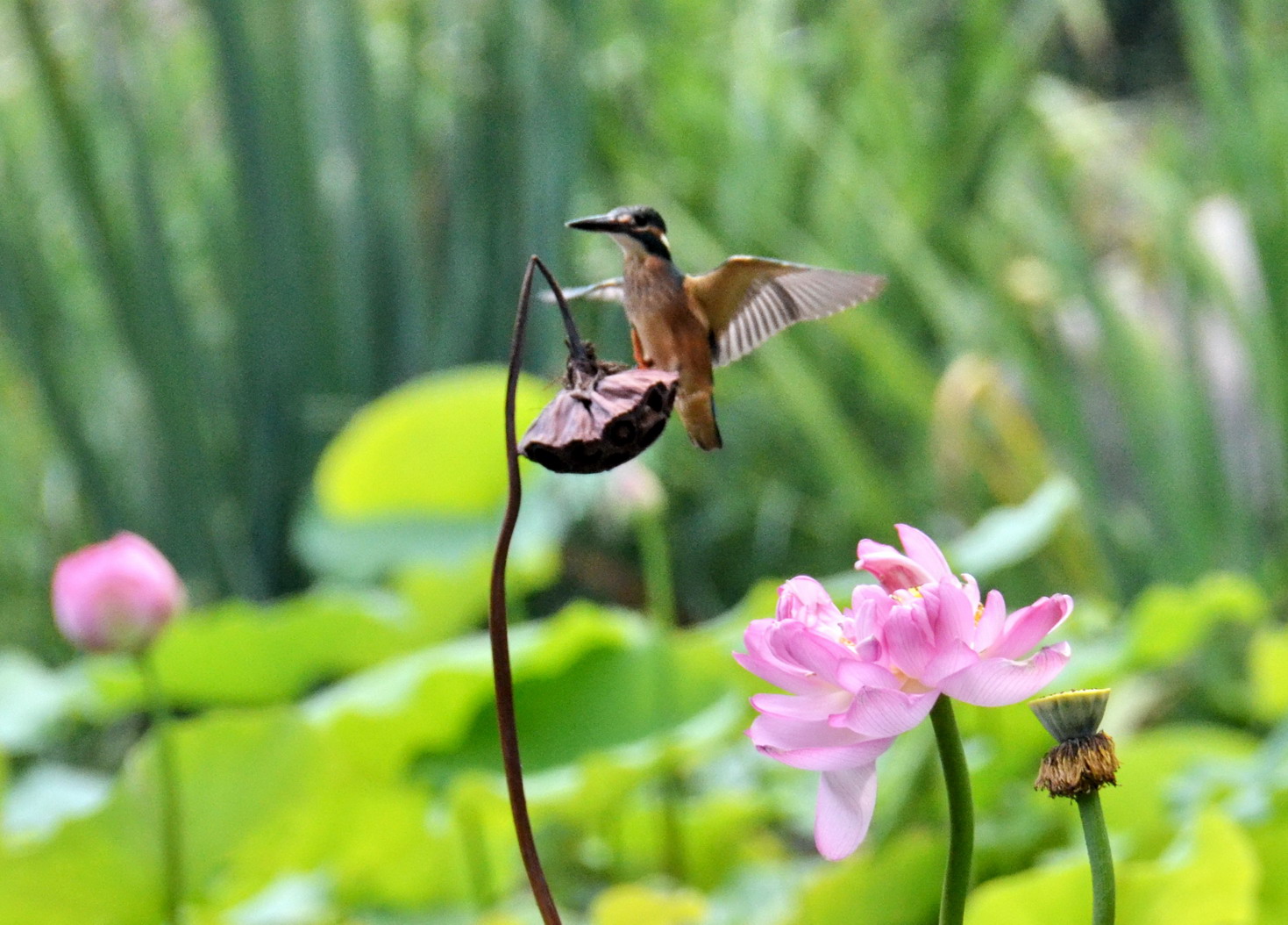 为拍一镜头苦熬20天