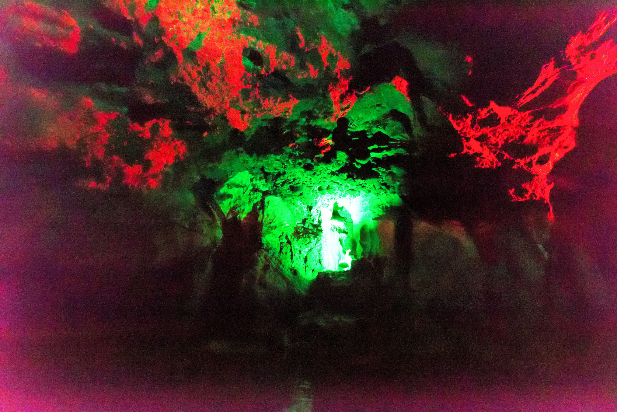GLN_1836.JPG