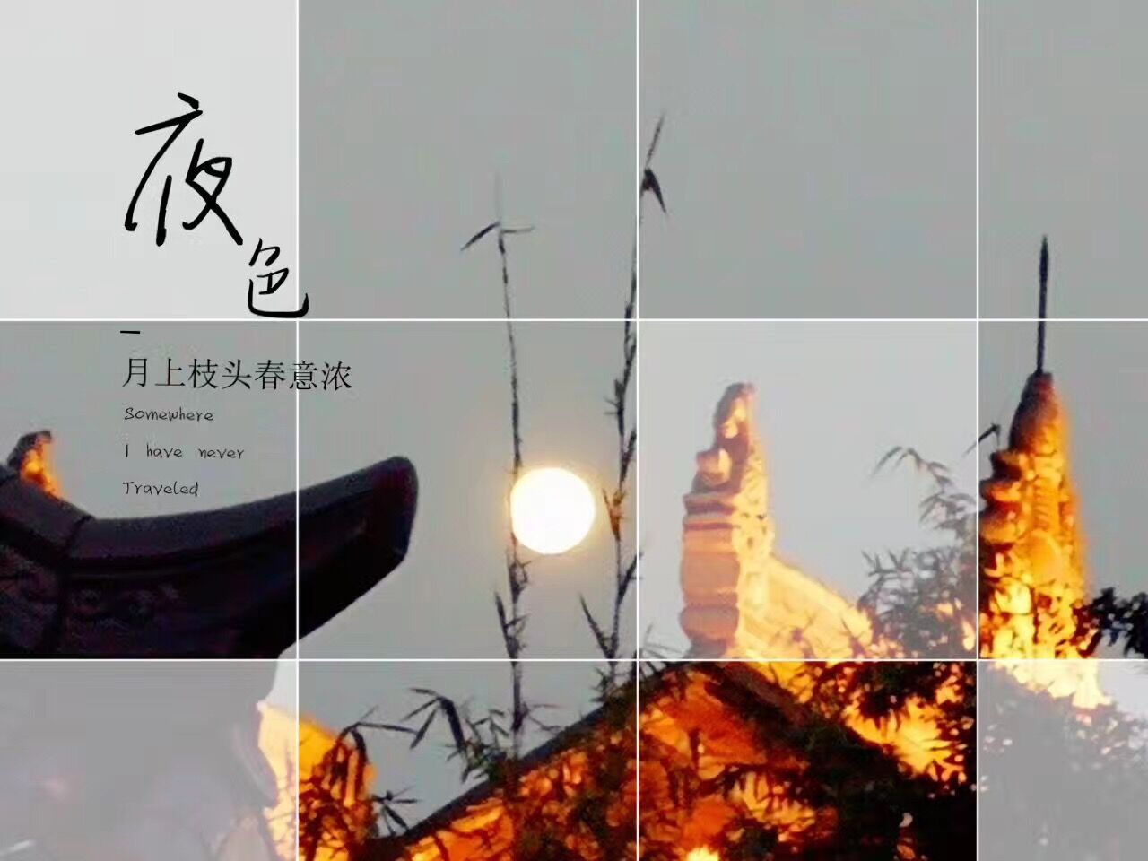 QQ图片20170801110153.jpg