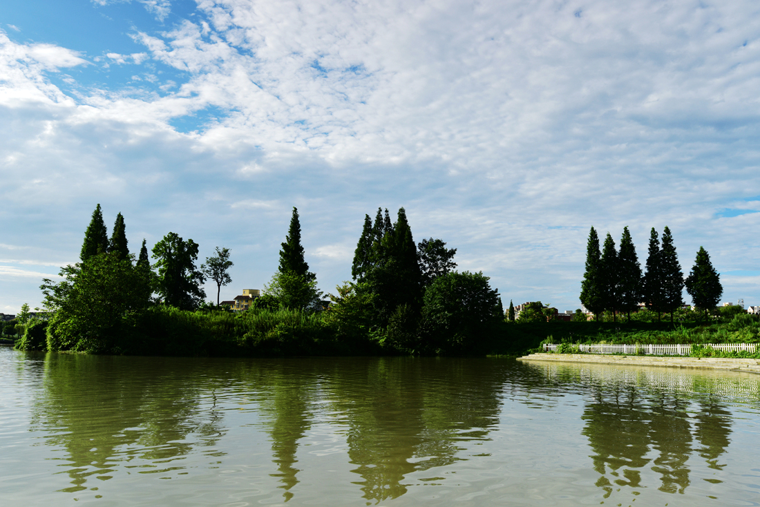 DSC_5995_.jpg