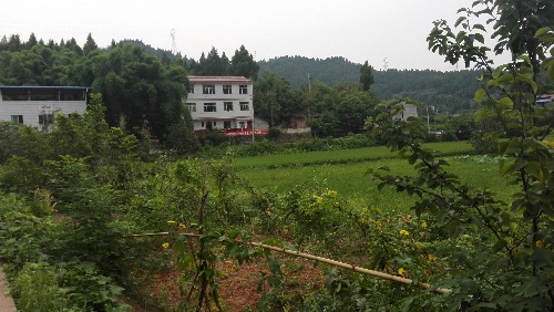 IMG_20170804_085806.jpg