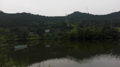 IMG_20170804_090414.jpg