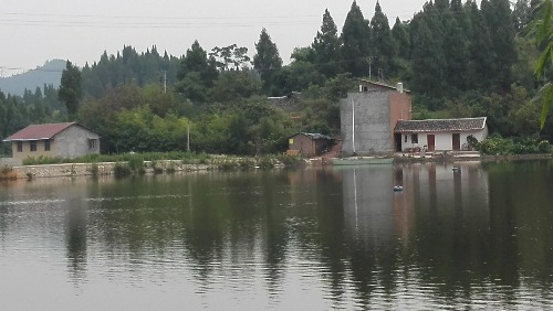 IMG_20170804_094144.jpg
