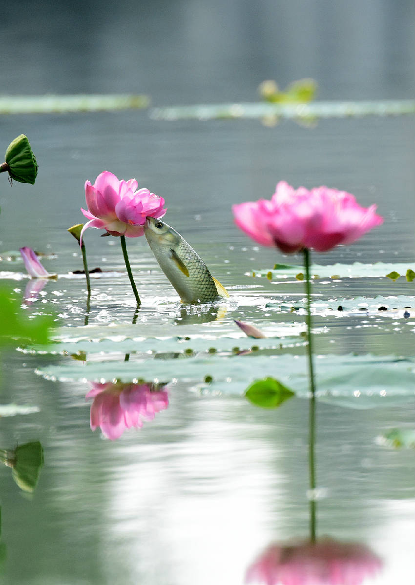 DSC_8912_副本.jpg