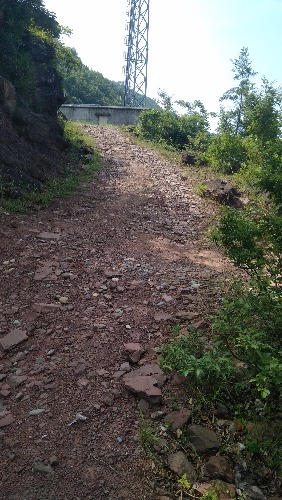 IMG_20170805_103016.jpg