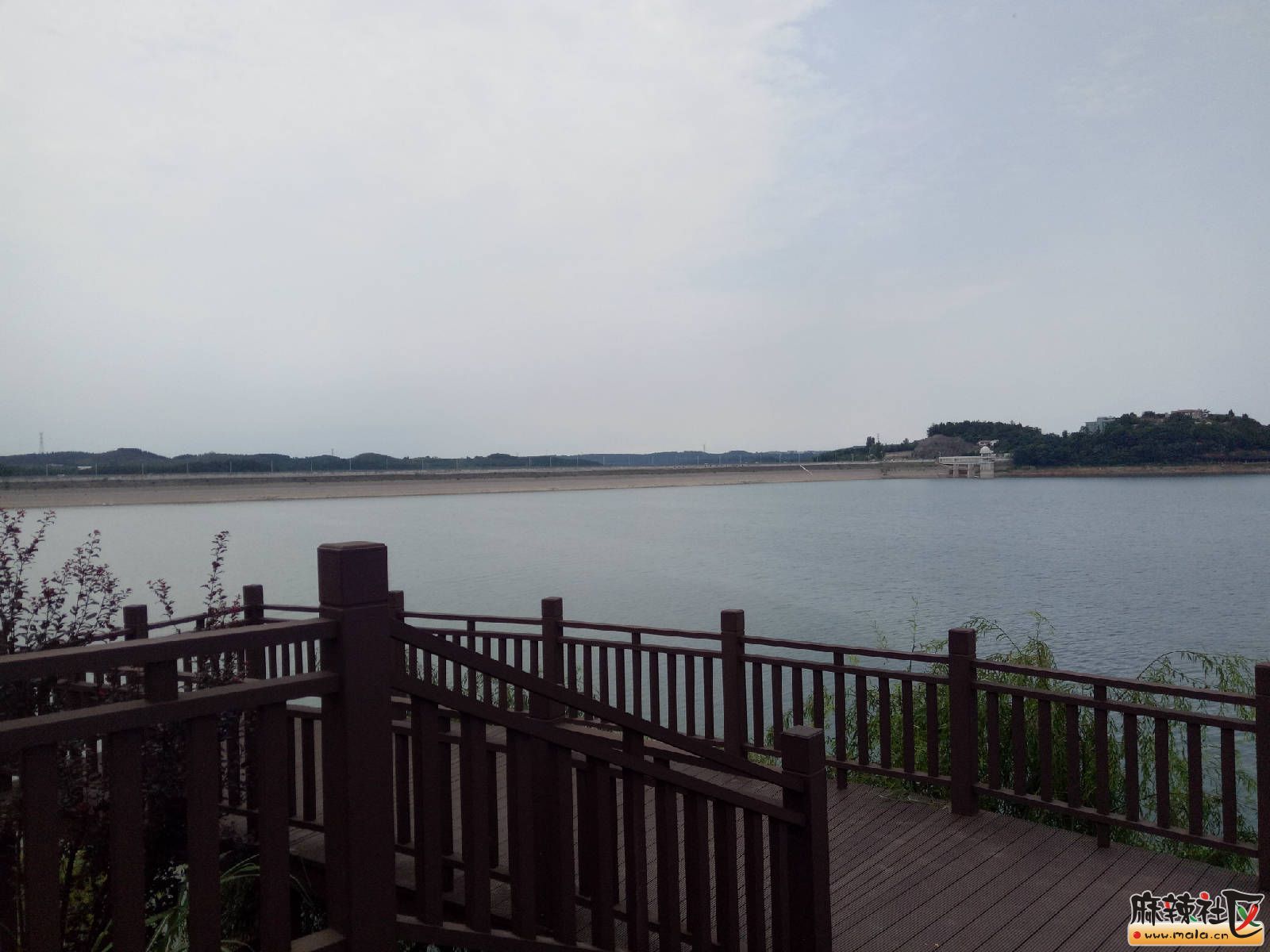 IMG20170729142843.jpg
