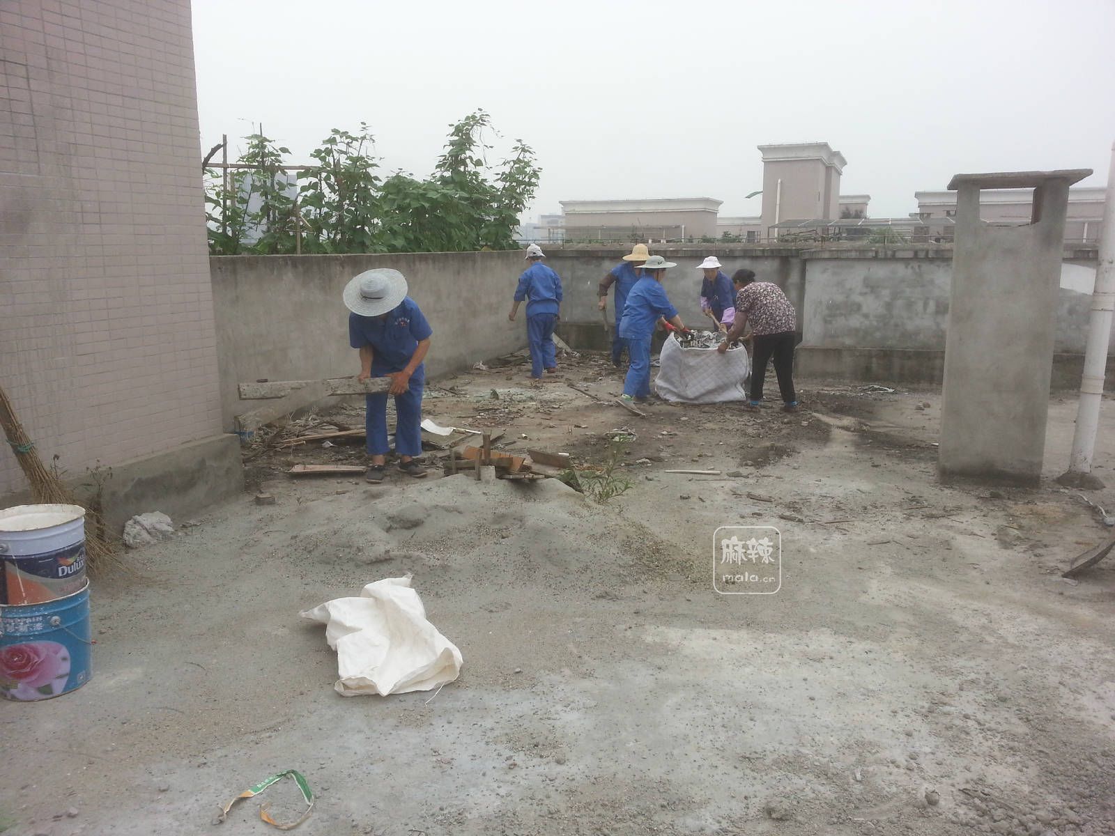 楼顶清扫 (2).jpg