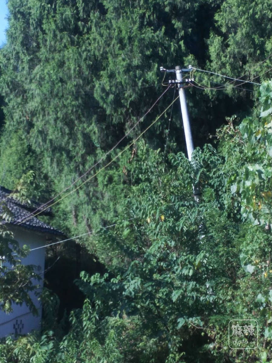 IMG_20170808_174253.jpg