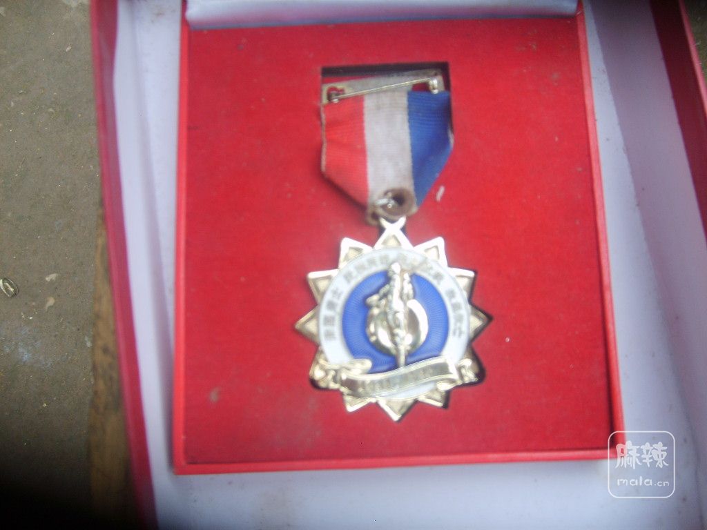 S6001126.JPG