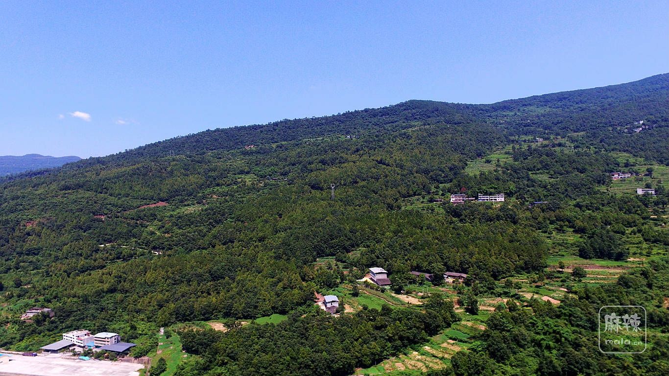 DJI_0041.JPG