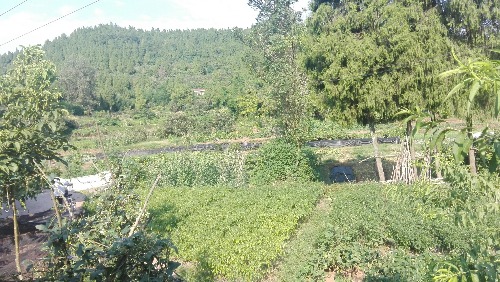 IMG_20170814_085646.jpg