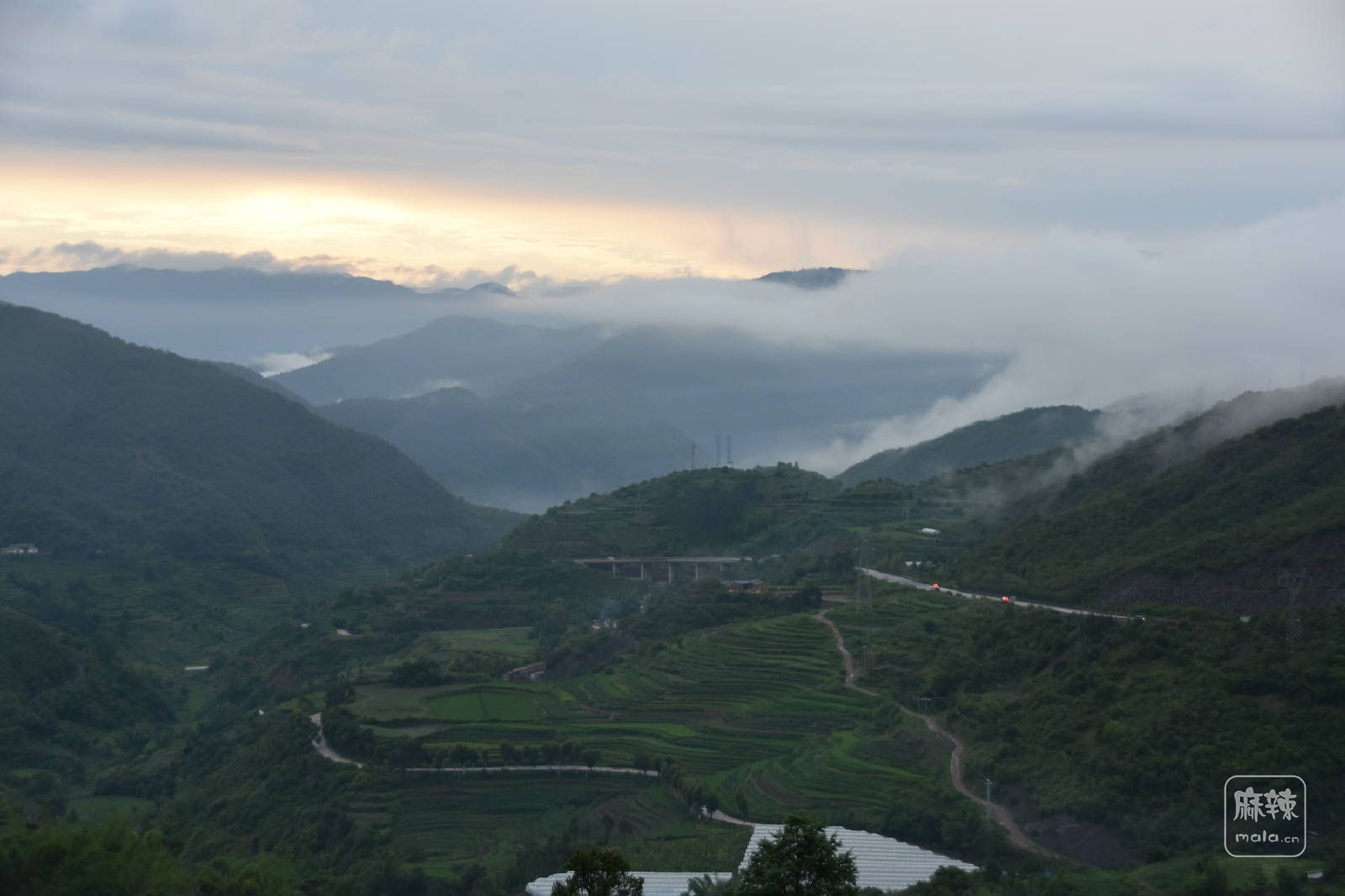 DSC_2885.JPG