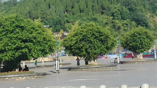 IMG_20170818_081129.jpg