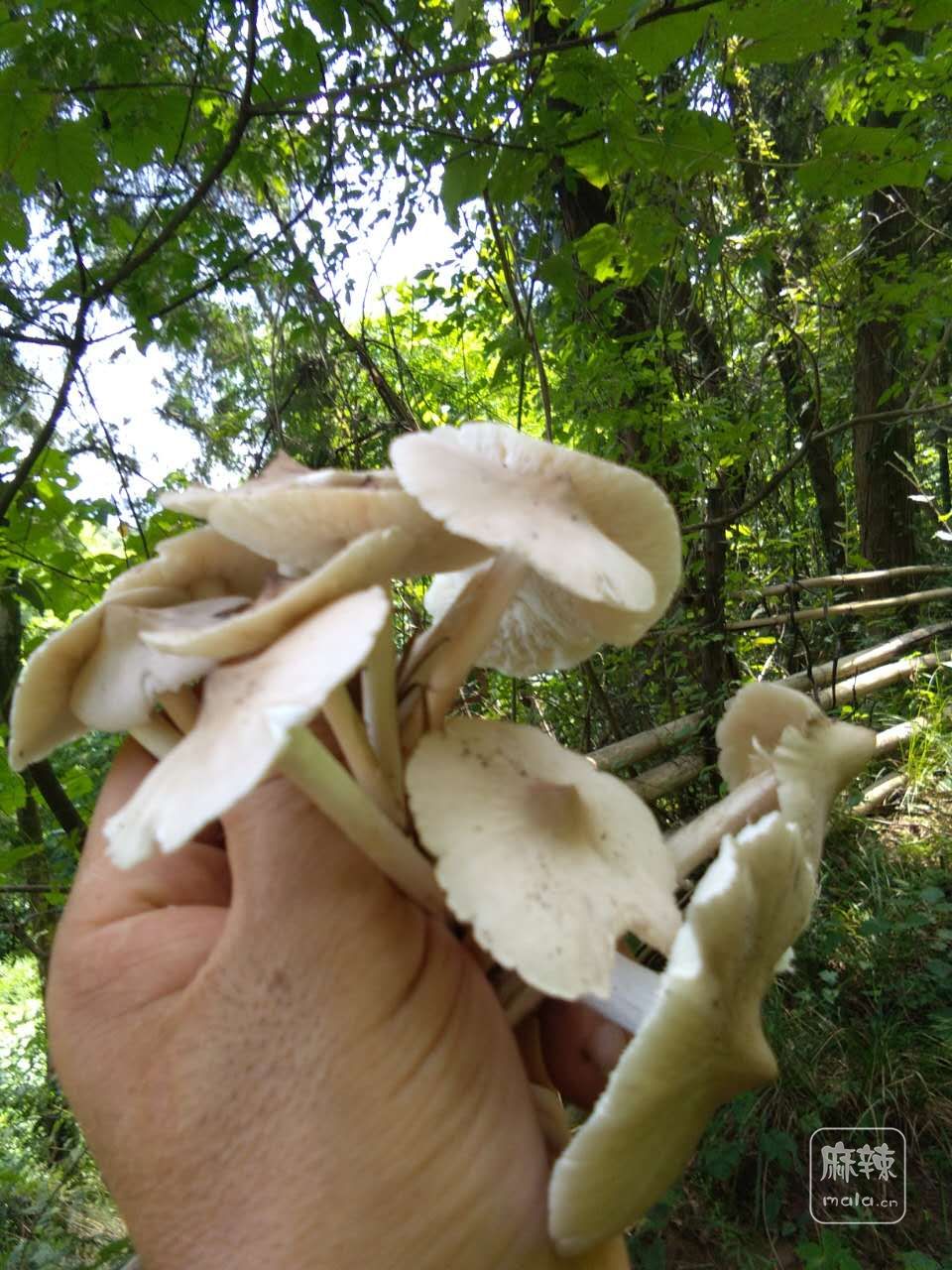 ΢ͼƬ_20170819214503.jpg