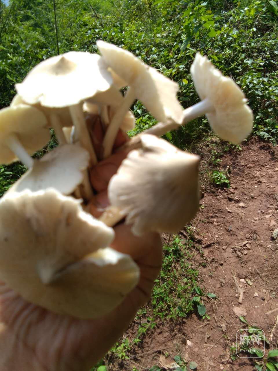 ΢ͼƬ_20170819214513.jpg