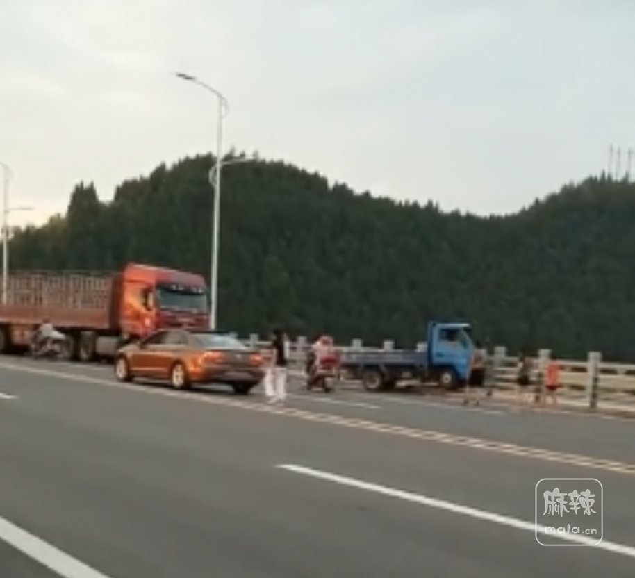 蓬安嘉陵江凤凰大桥上面发生交通事故一小货车
