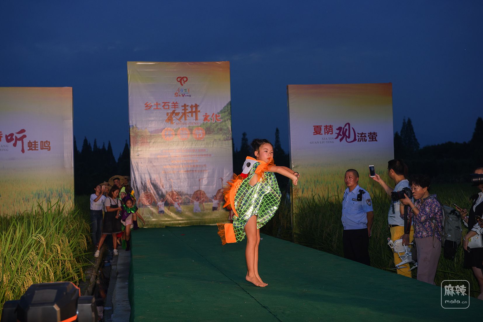 DSC_3353.jpg
