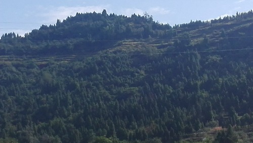 IMG_20170826_093329.jpg