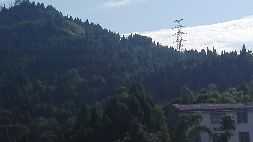 IMG_20170826_093336.jpg