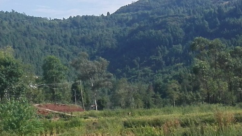 IMG_20170826_093537.jpg