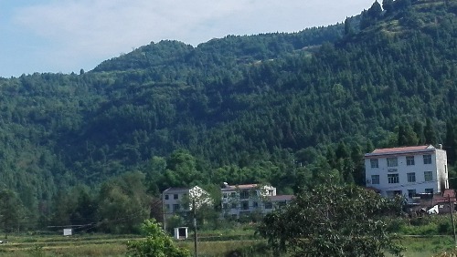 IMG_20170826_094710.jpg