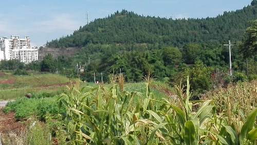 IMG_20170826_100227.jpg