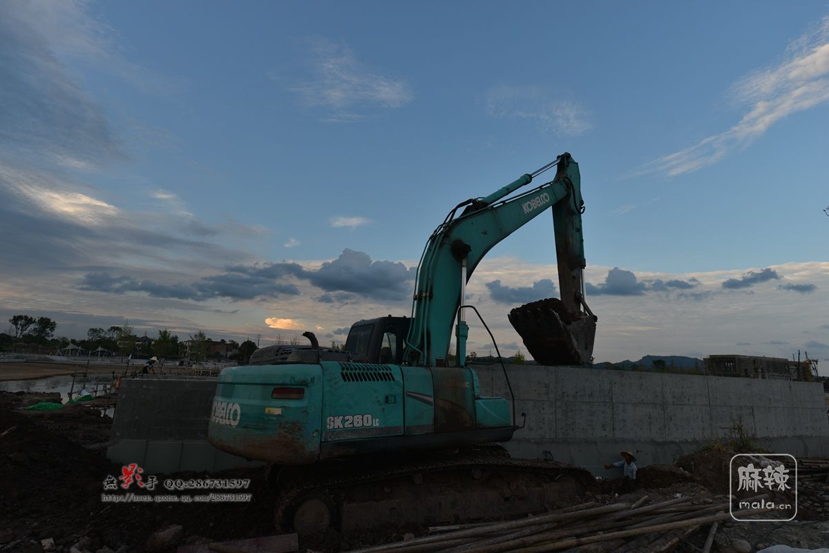 DSC_8167.jpg