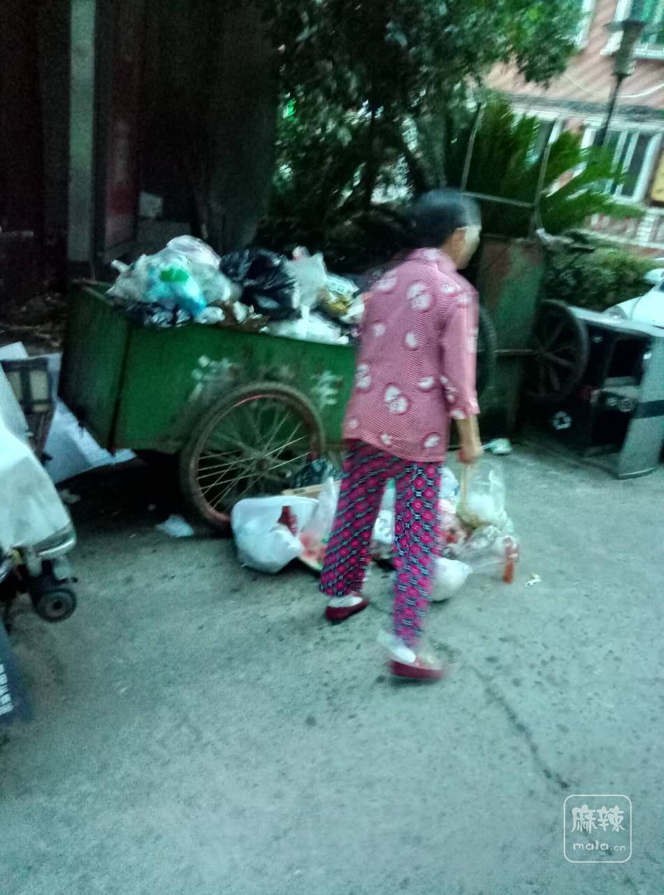 垃圾3.jpg