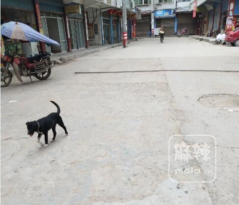 QQ截图20170829150440.jpg