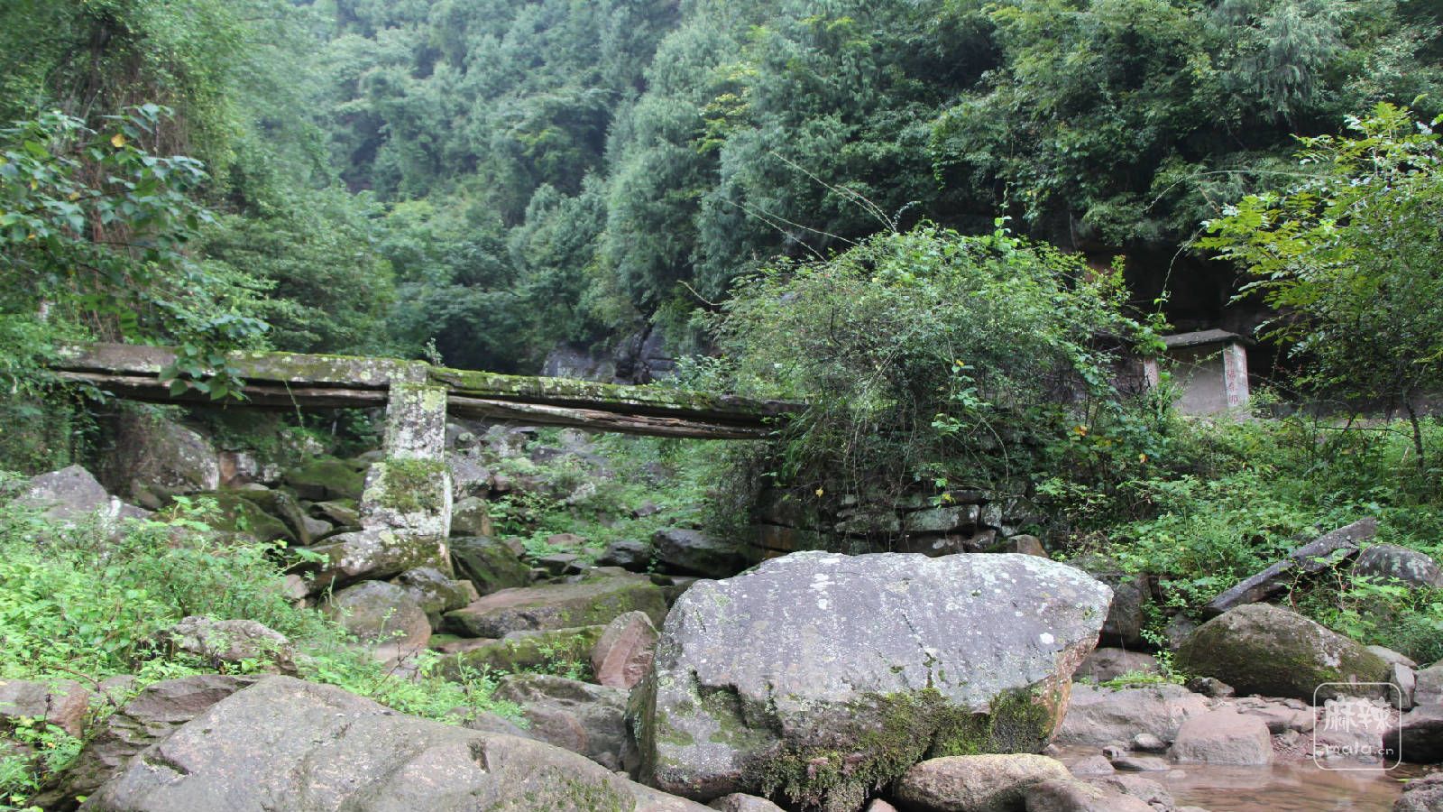 乡村摄影组图——平岗张公堂村