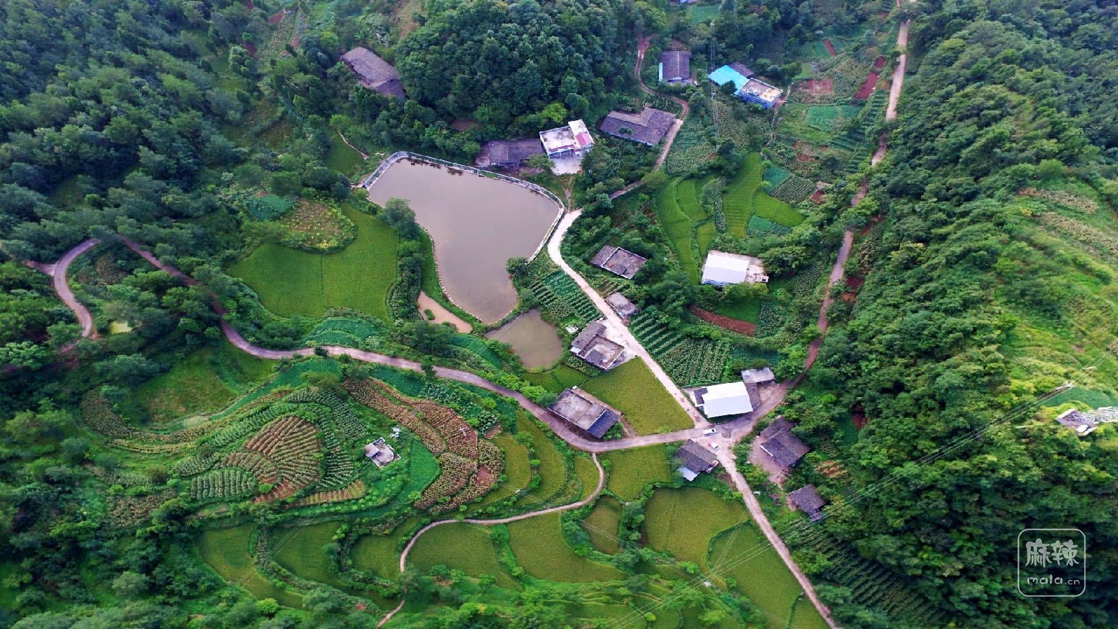 DJI_0096.JPG