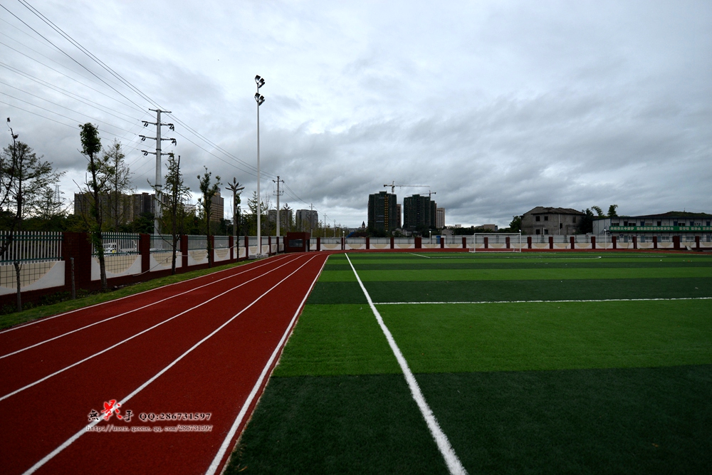 DSC_9101.jpg
