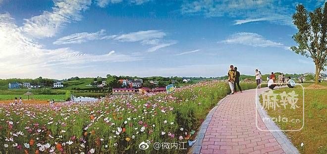 四川百强名村公布 隆昌市金鹅古宇村入列