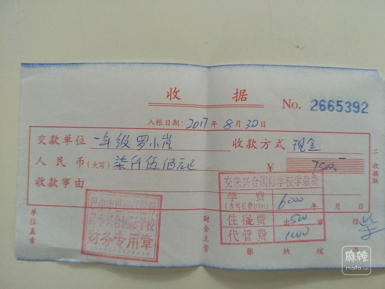 545198419735500281.jpg
