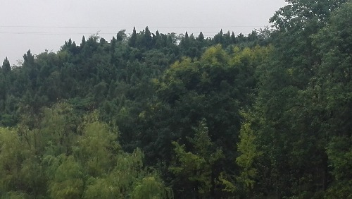 IMG_20170901_101541.jpg
