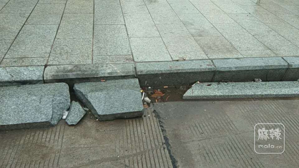 63317166399258564.jpg